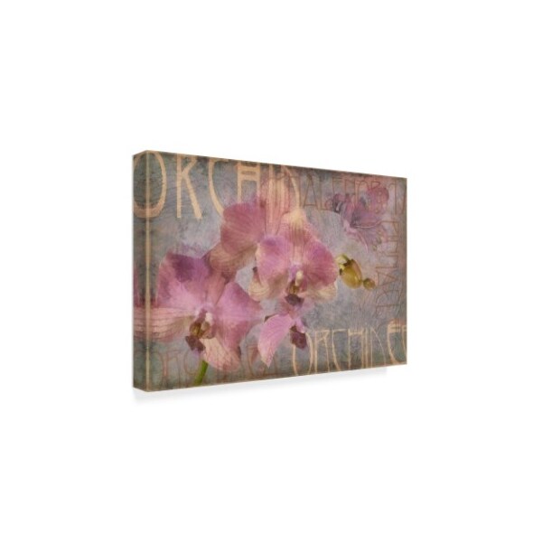 Cora Niele 'Orchid I' Canvas Art,12x19